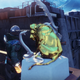 A serpent representing Hunters and a phoenix representing Warlocks harass a golden lion representing Titans and their victory. It’s a cool idea. It would be even cooler if it weren’t so small.